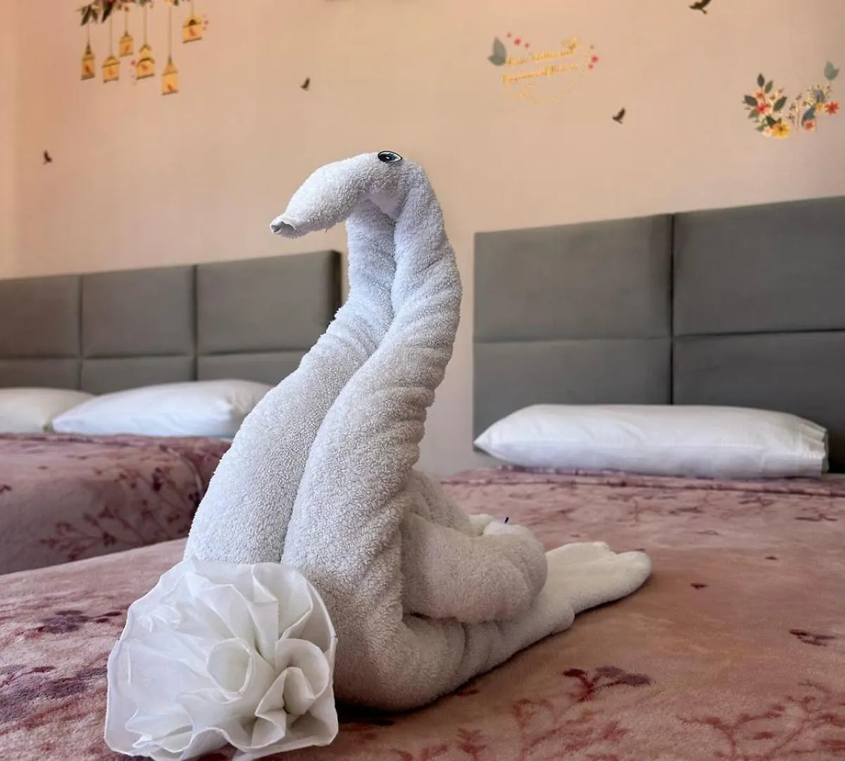 **  Hotel Marcianito Isla Mujeres Mexico